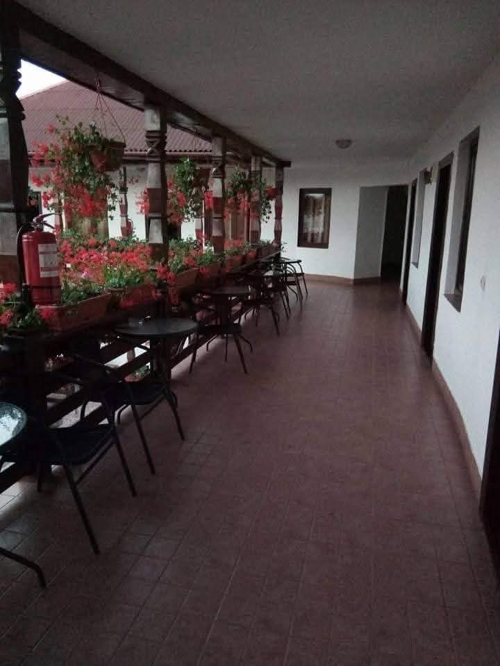Cris & Mona Hotell Săpînţa Exteriör bild