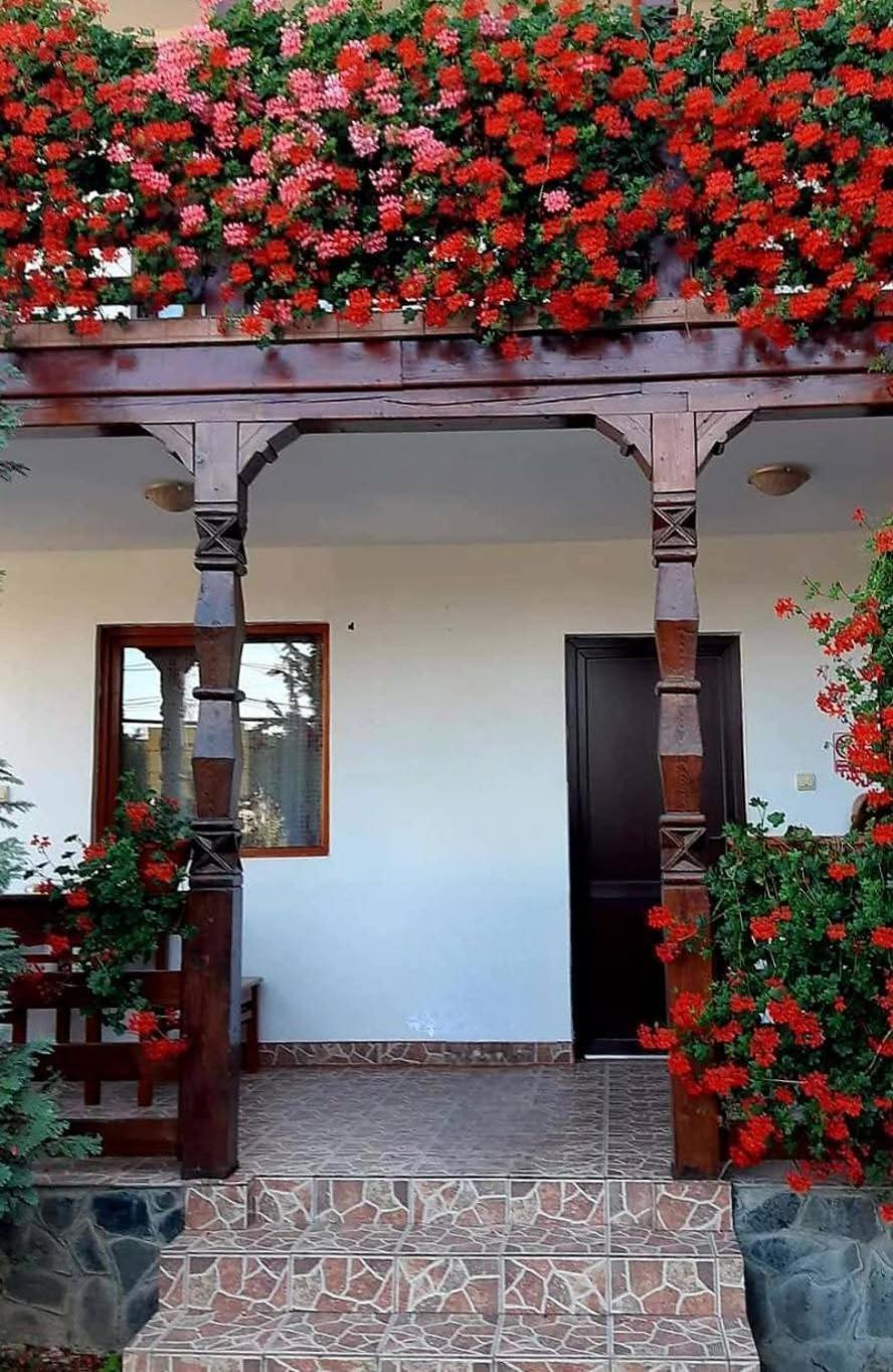 Cris & Mona Hotell Săpînţa Exteriör bild