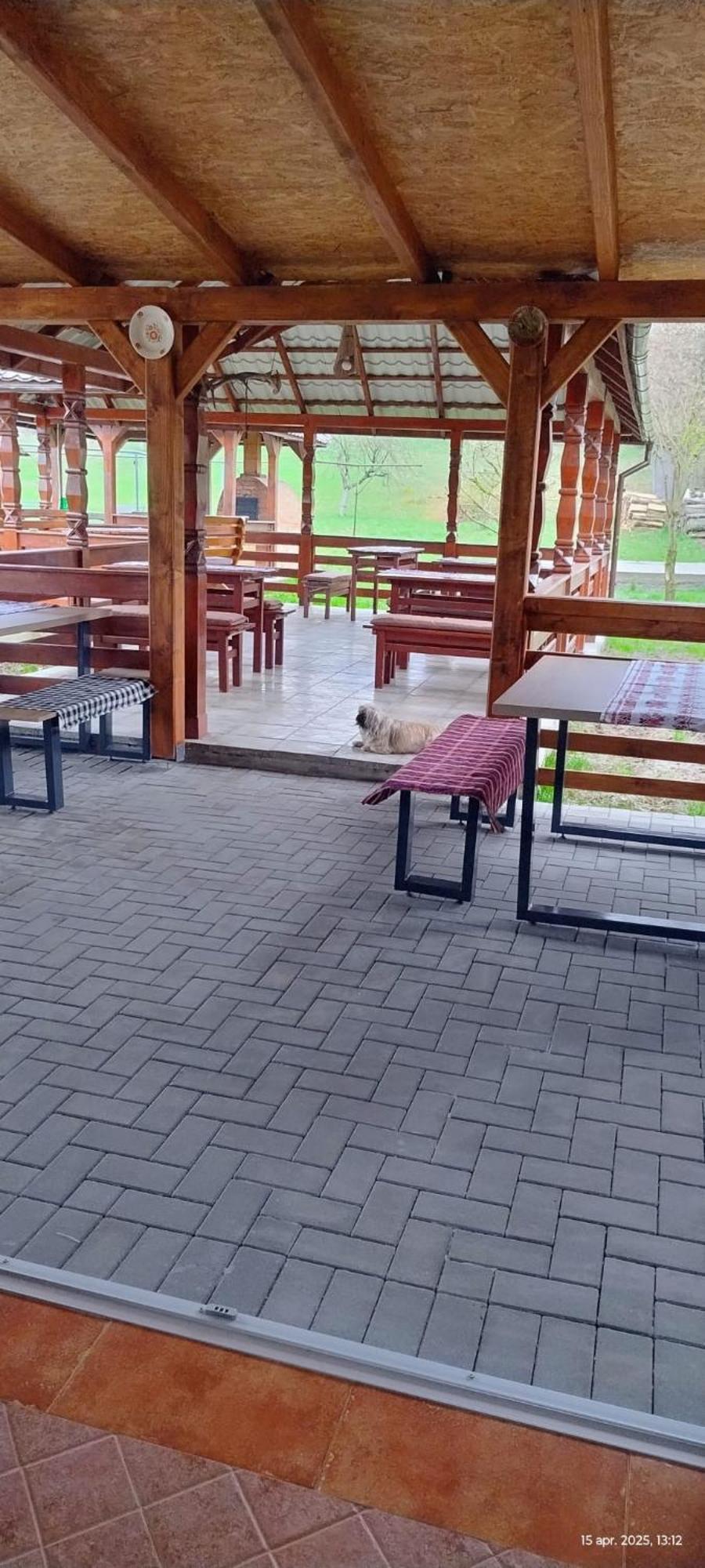 Cris & Mona Hotell Săpînţa Exteriör bild
